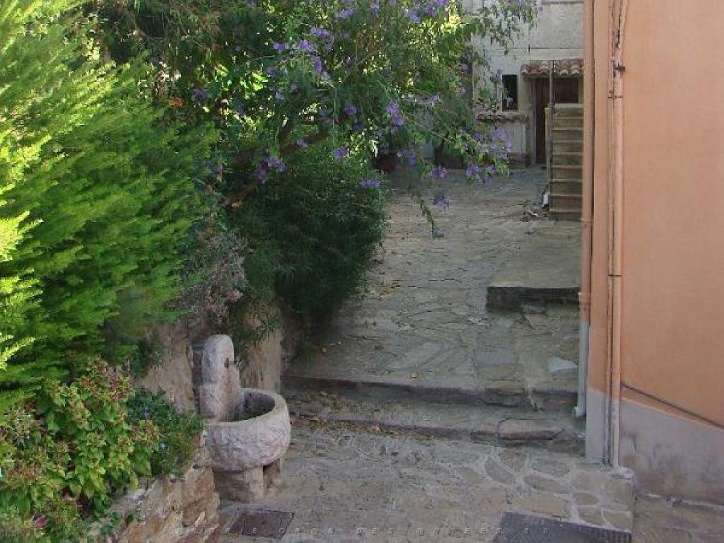 183 D23 BORMES LES MIMOSAS 1_000055.jpg